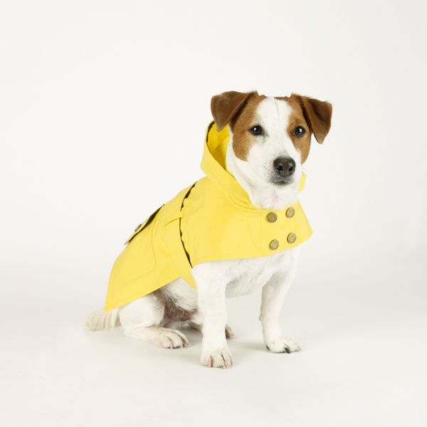 ralph lauren dog raincoat