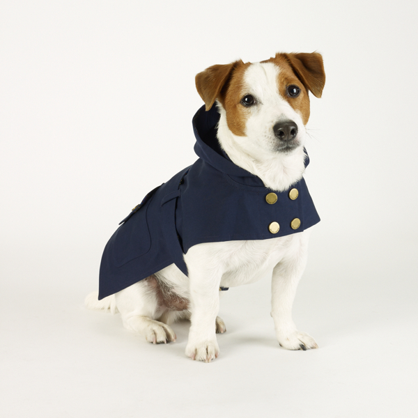 ralph lauren pet