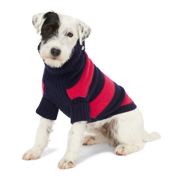 ralph lauren cashmere dog sweater