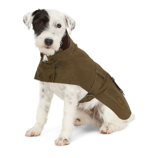 ralph lauren dog jacket