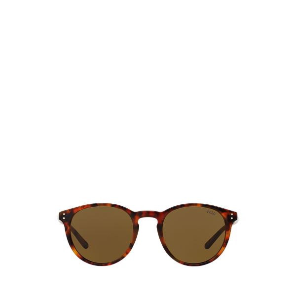 Polo Ralph Lauren Classic Panto Sunglasses In Shiny Antique Havana