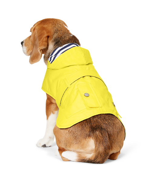 Ralph Lauren Pet Hooded Dog Raincoat 2