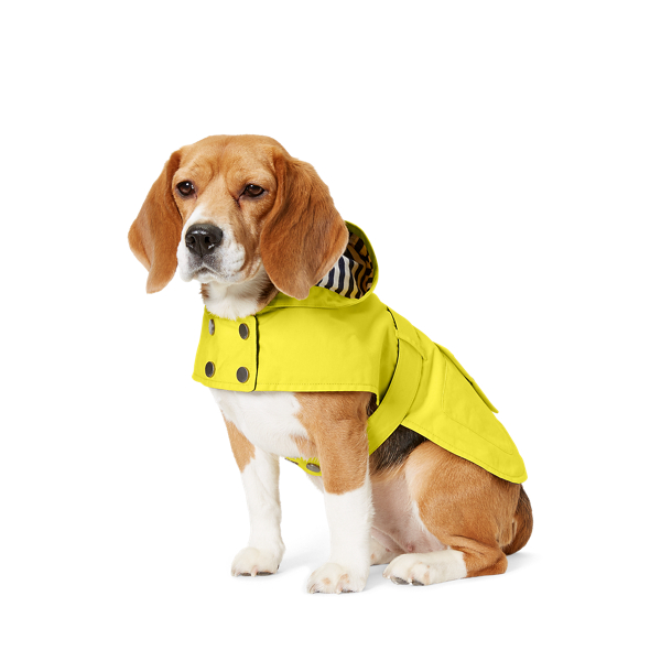 Hooded Dog Raincoat | Apparel The Pup 