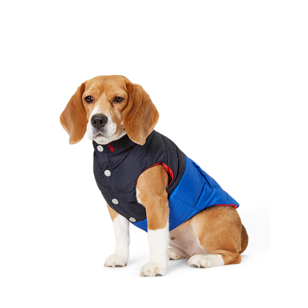 ralph lauren dog jacket