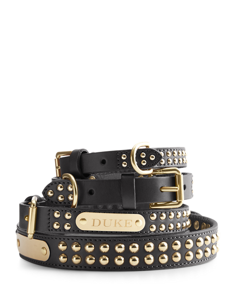 Ralph Lauren Pet Knox Studded Dog Collar 2