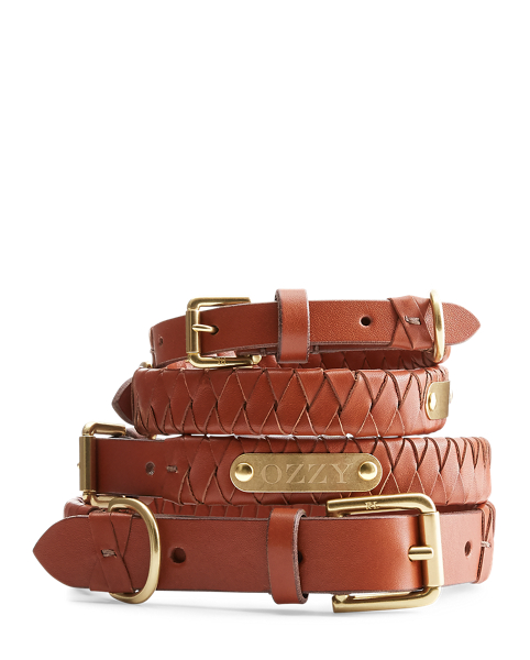 Ralph Lauren Pet Sable Woven Leather Dog Collar 3