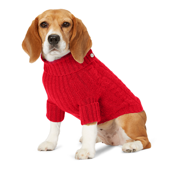 ralph lauren cashmere dog sweater