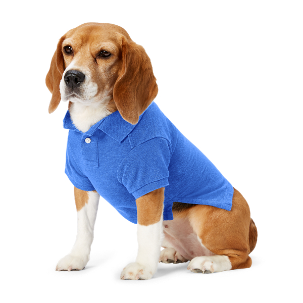 The Pup Shop: Designer Pet Apparel & Accessories | Ralph Lauren