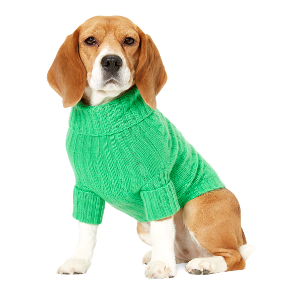 pet pup ralph lauren dog sweater