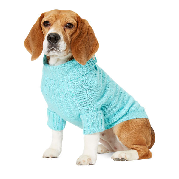 dog pet sweater ralph lauren pup take