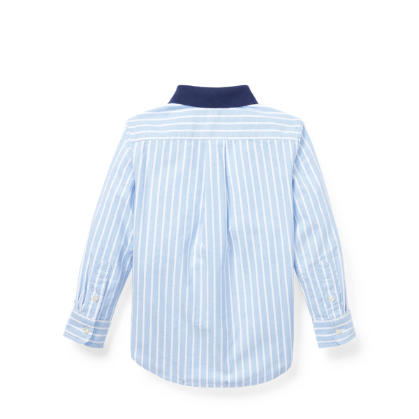 polo bear cotton oxford shirt