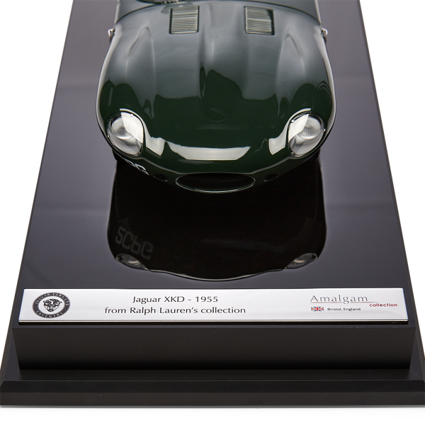 Ralph Lauren Home Jaguar XKD 1955 3