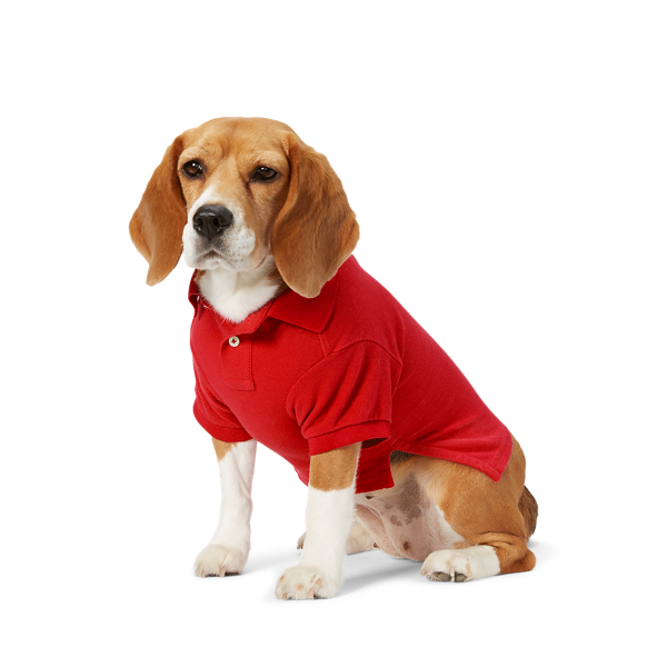 Polo Big Pony piqué pour chien