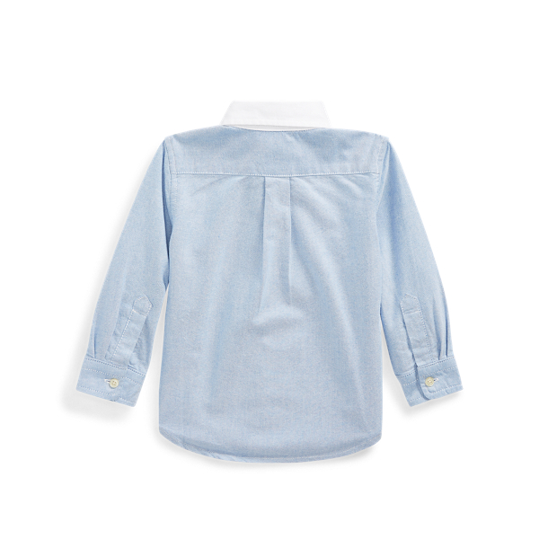 polo bear cotton oxford shirt