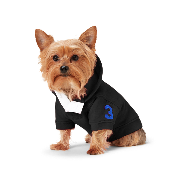 ralph lauren dog hoodie