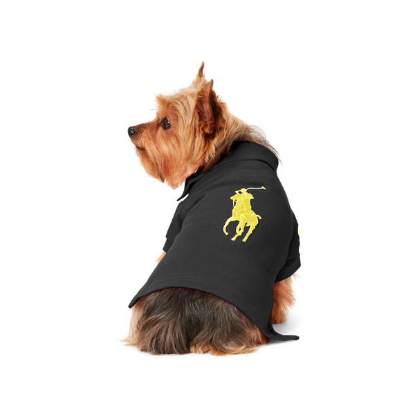 Designer Dog Clothing | Luxury Dog Jumpers | Ralph Lauren® UK