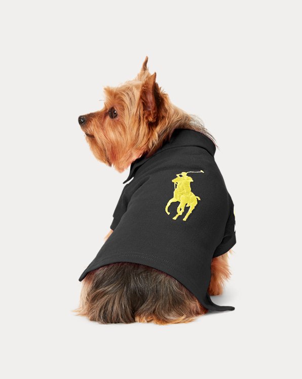 bedreiging pk Lucky Designer Dog Clothing | Luxury Dog Jumpers | Ralph Lauren® CH