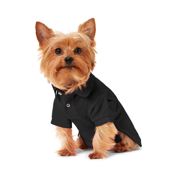 ralph lauren shirt with dog logo