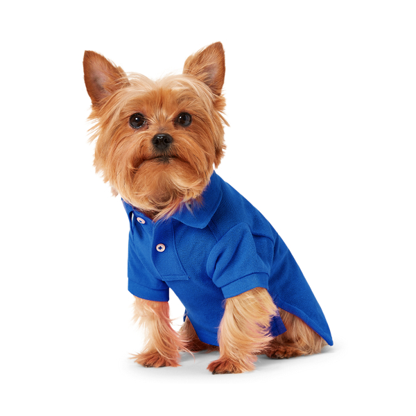 Polo Big Pony piqué pour chien
