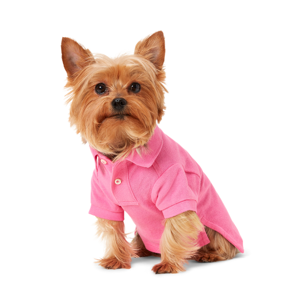 Polo Big Pony piqué pour chien