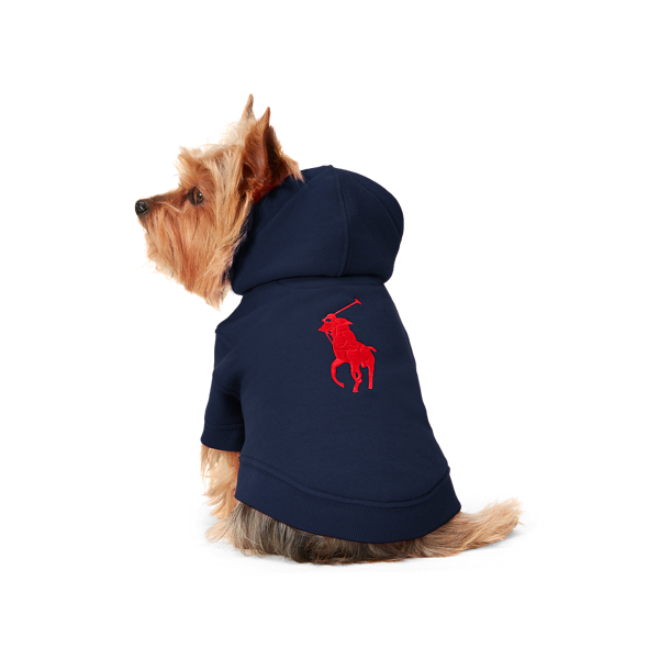 ralph lauren dog hoodie