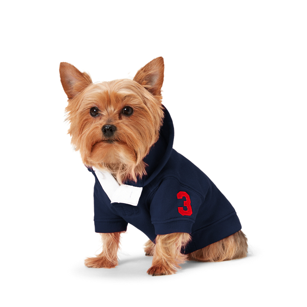 ralph lauren dog jumper