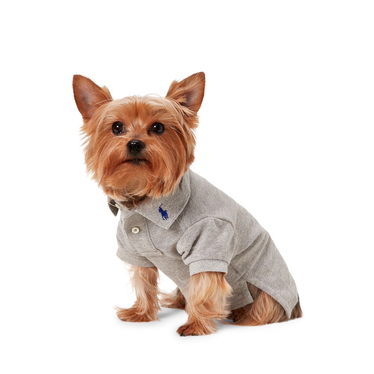Cotton Mesh Dog Polo Shirt