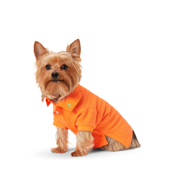 Polo pour chien en coton piqué