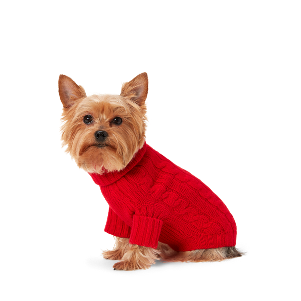 Pull torsadé pour chien cachemire