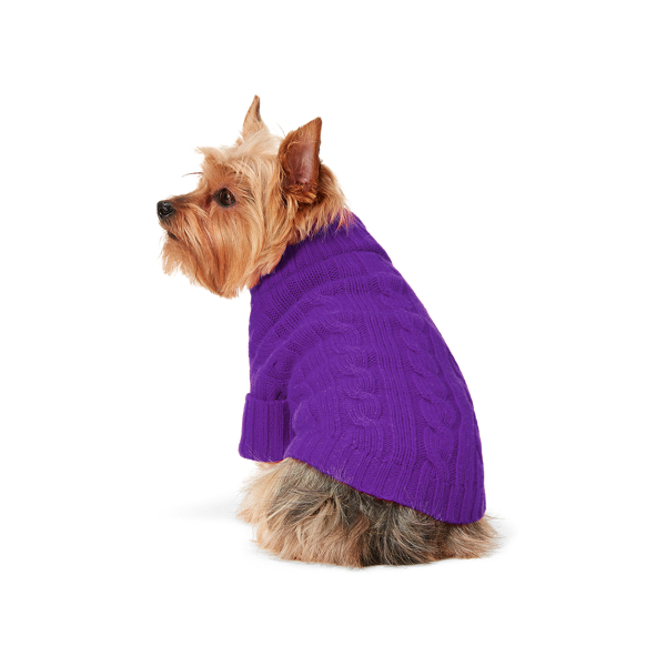 ralph lauren dog sweater
