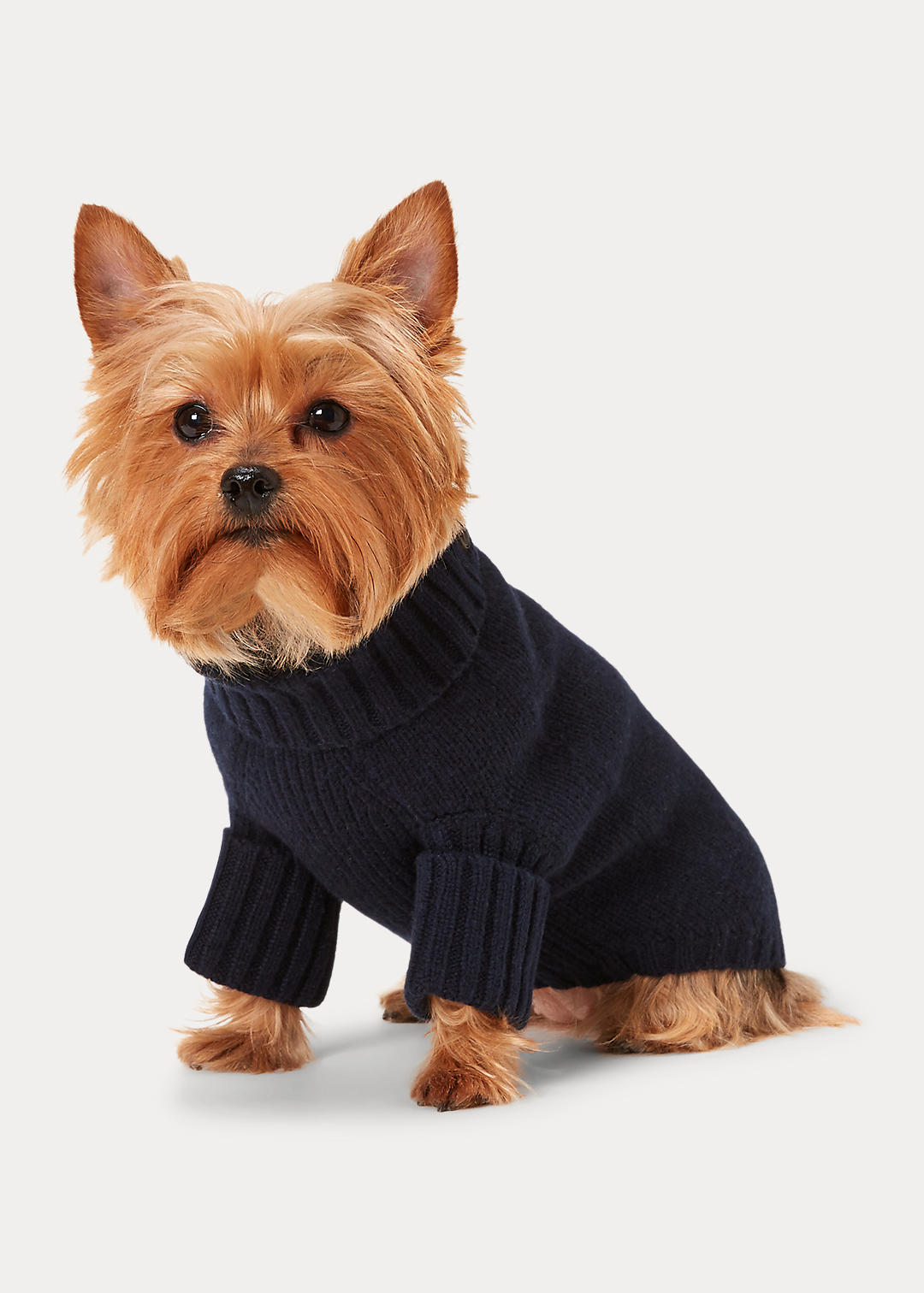 Bear Wool Blend Dog Sweater