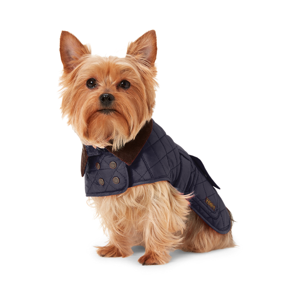 Veste matelassée doublée pour chien