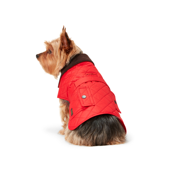 ralph lauren dog hoodie