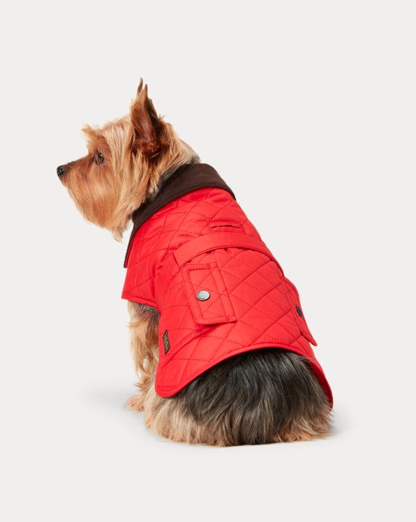 Zoekmachinemarketing Schepsel gezond verstand The Pup Shop: Designer Pet Apparel & Accessories | Ralph Lauren