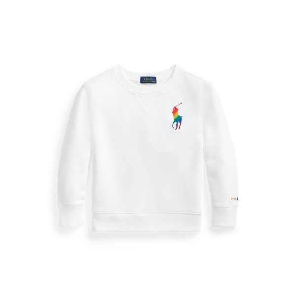polo sweater hoodie