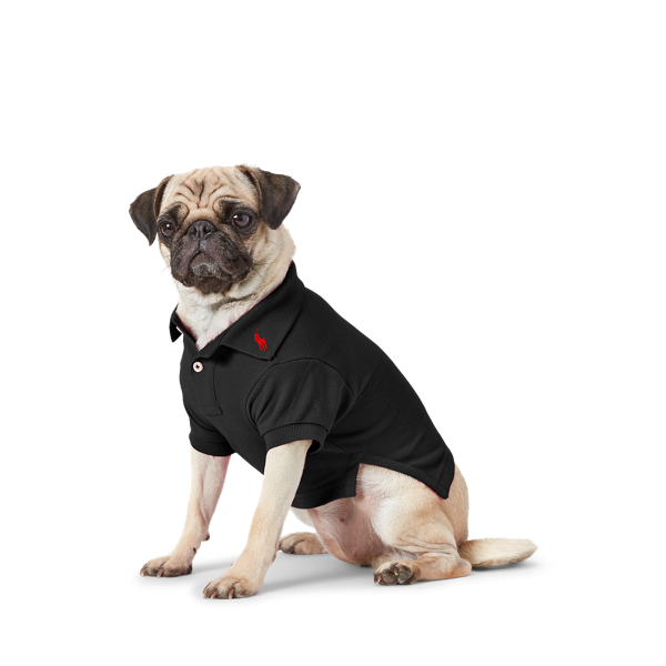 Polo pour chien en coton piqué