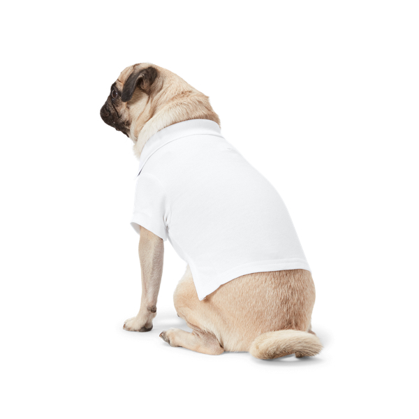 Cotton Mesh Dog Polo Shirt