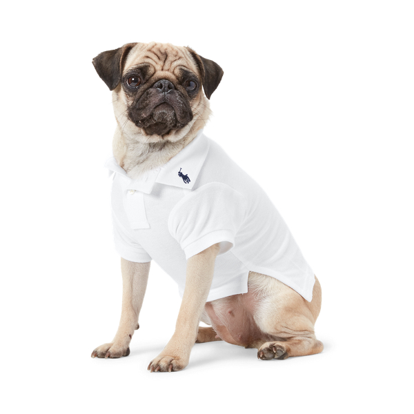 Dog: Polo Shirts