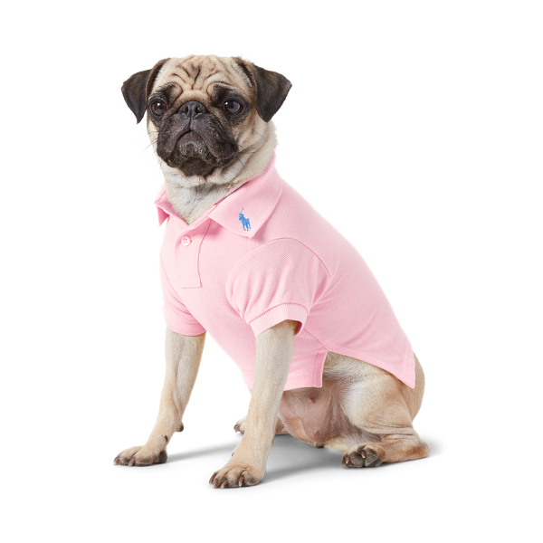Polo Ralph Lauren Cotton Mesh Dog Polo Shirt In Carmel Pink