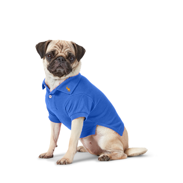 polo sweater for dogs