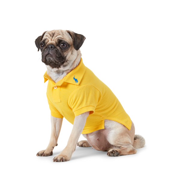 Polo pour chien en coton piqué
