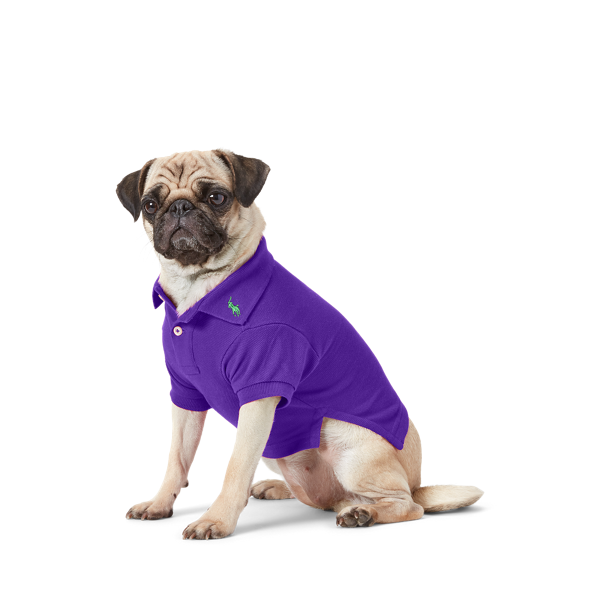 Polo pour chien en coton piqué