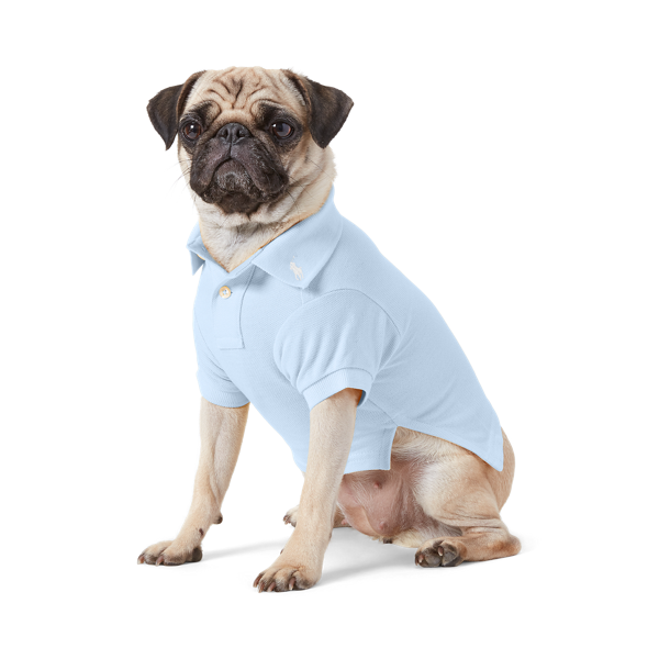 Polo pour chien en coton piqué