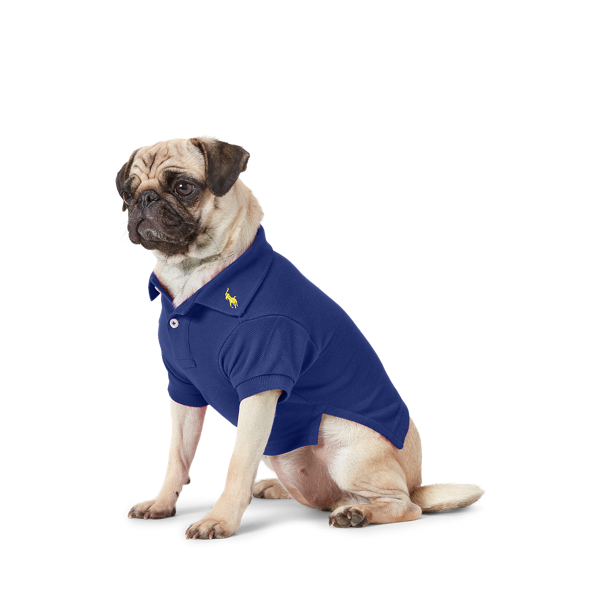 Polo pour chien en coton piqué