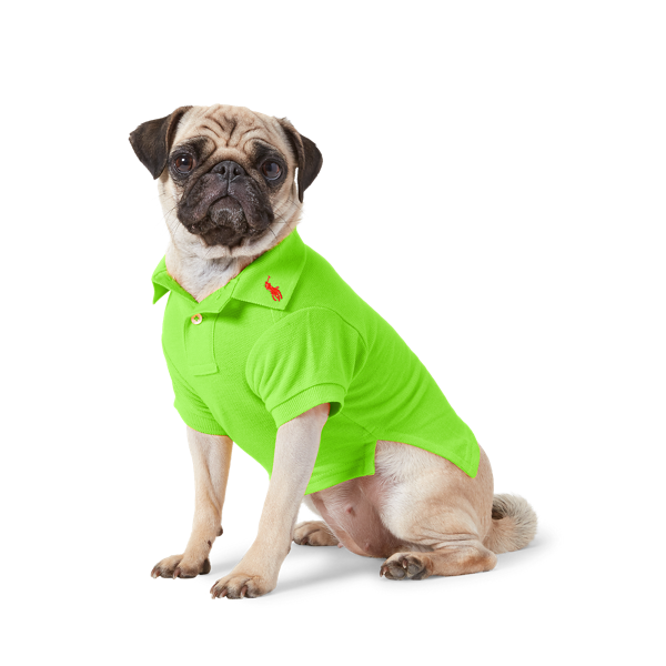 Polo pour chien en coton piqué
