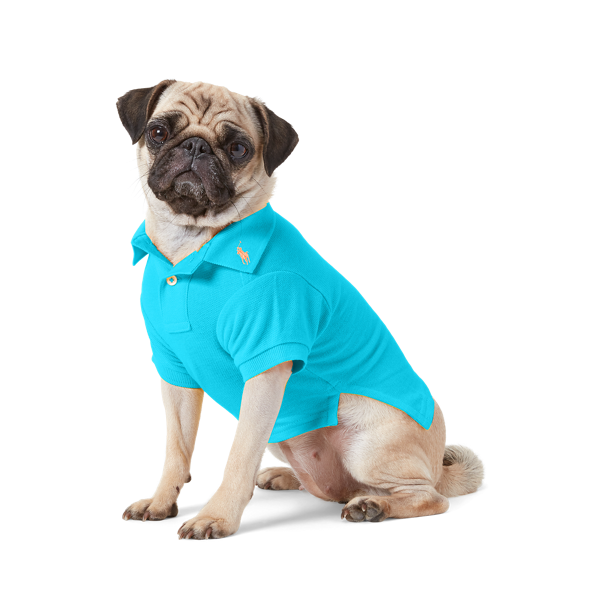 Polo pour chien en coton piqué