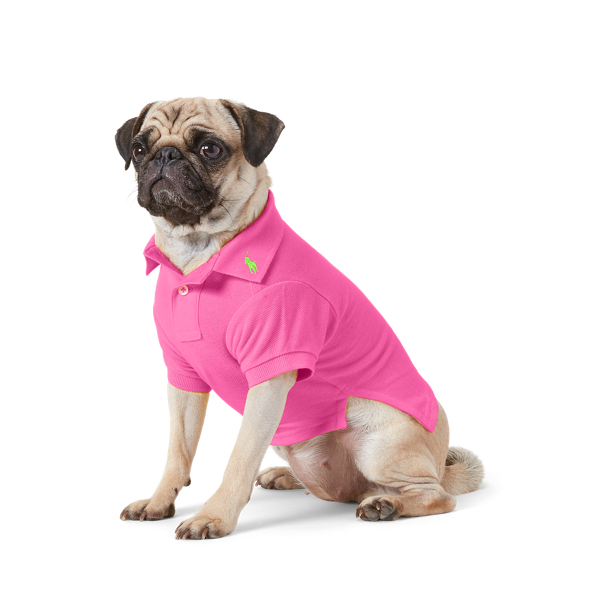 Polo Ralph Lauren Cotton Mesh Dog Polo Shirt In Maui Pink/c5368
