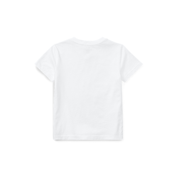Polo Ralph Lauren Ralph Lauren Kids T-shirt Con Ricamo Polo Pony In Andover Heather