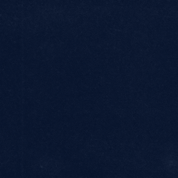 English Riding Velvet Swatch - Midnight