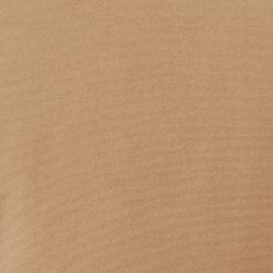 Burnished Chamois